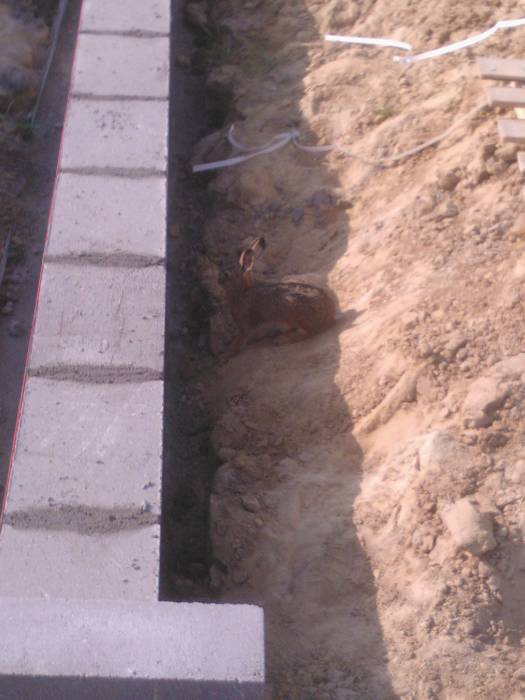 blog budowlany - mojabudowa.pl